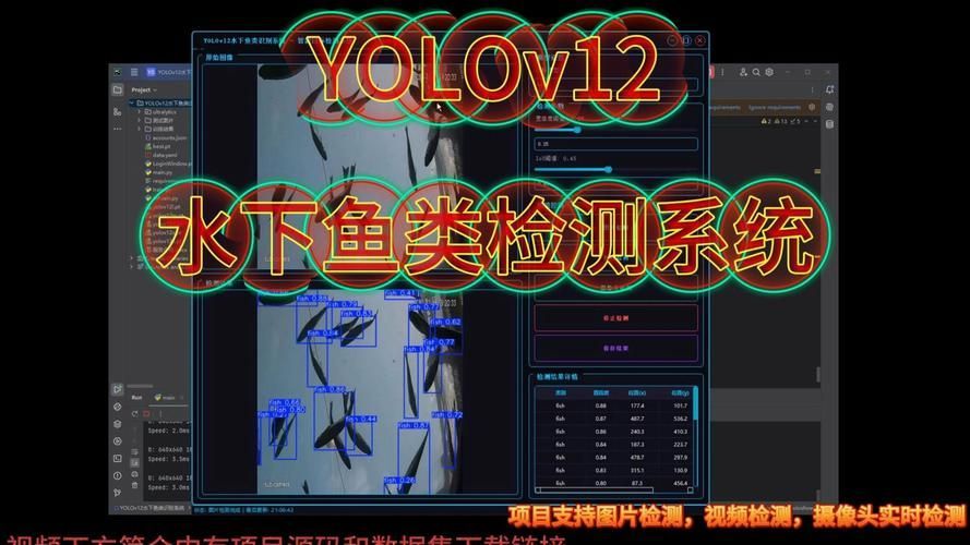 如何預防觀賞魚再次充血，關于觀賞魚充血