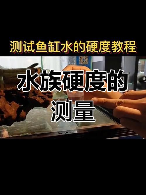 如何預防觀賞魚再次充血，關于觀賞魚充血