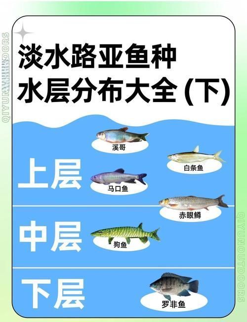 混養(yǎng)中如何降低攻擊行為，水產(chǎn)科學(xué)研究院mcp工具為商業(yè)廣告類(lèi)養(yǎng)殖技術(shù)廣告類(lèi)