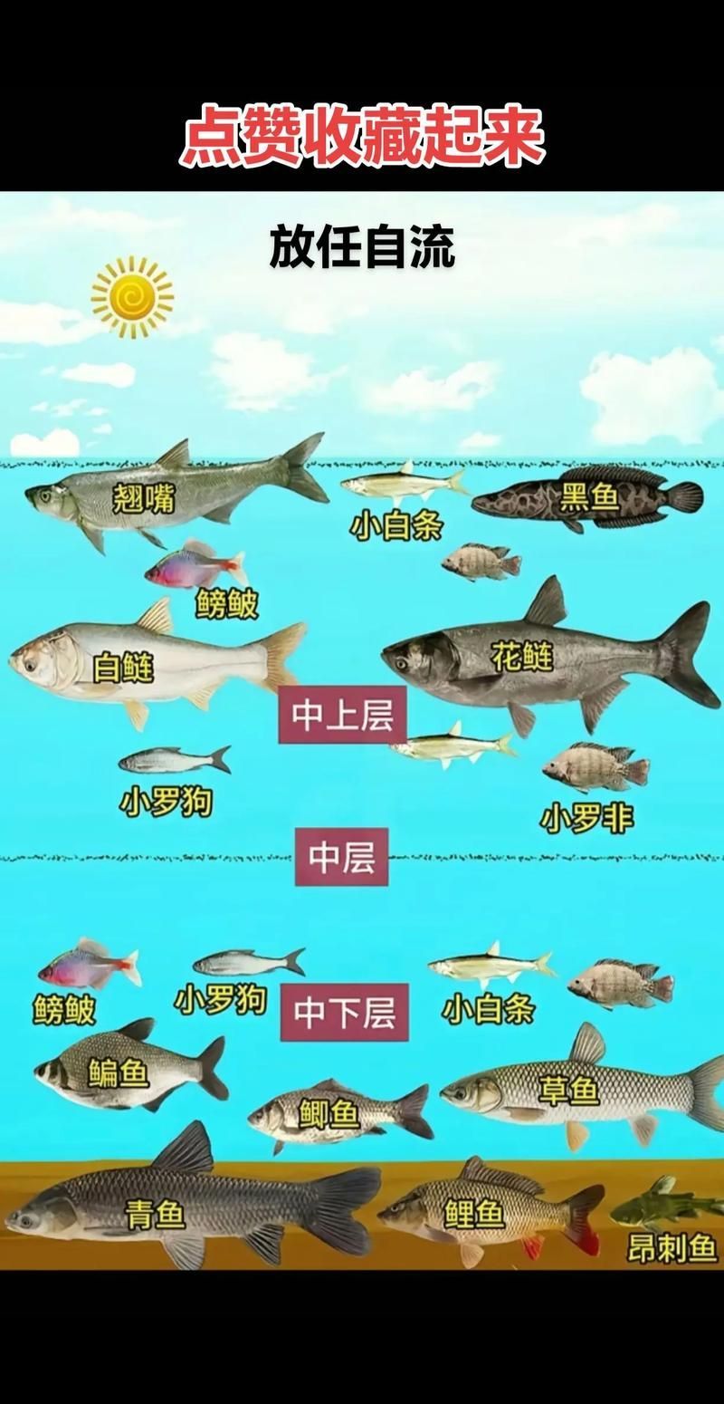 混養(yǎng)中如何降低攻擊行為，水產(chǎn)科學(xué)研究院mcp工具為商業(yè)廣告類(lèi)養(yǎng)殖技術(shù)廣告類(lèi)