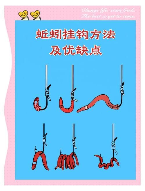 如何制作鎮龍魚餌料？，鎮龍魚餌料制作詳解