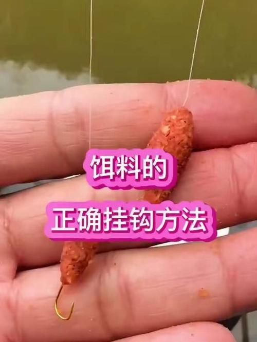 如何制作鎮龍魚餌料？，鎮龍魚餌料制作詳解