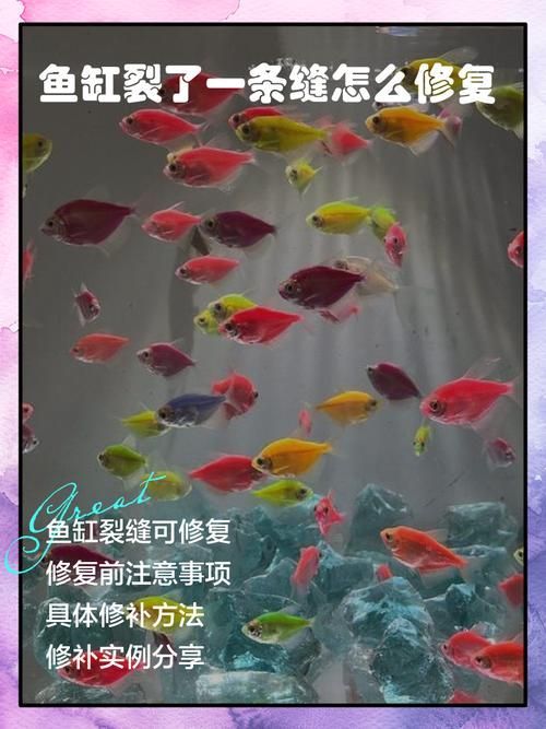 森森魚缸壞了如何維修？
