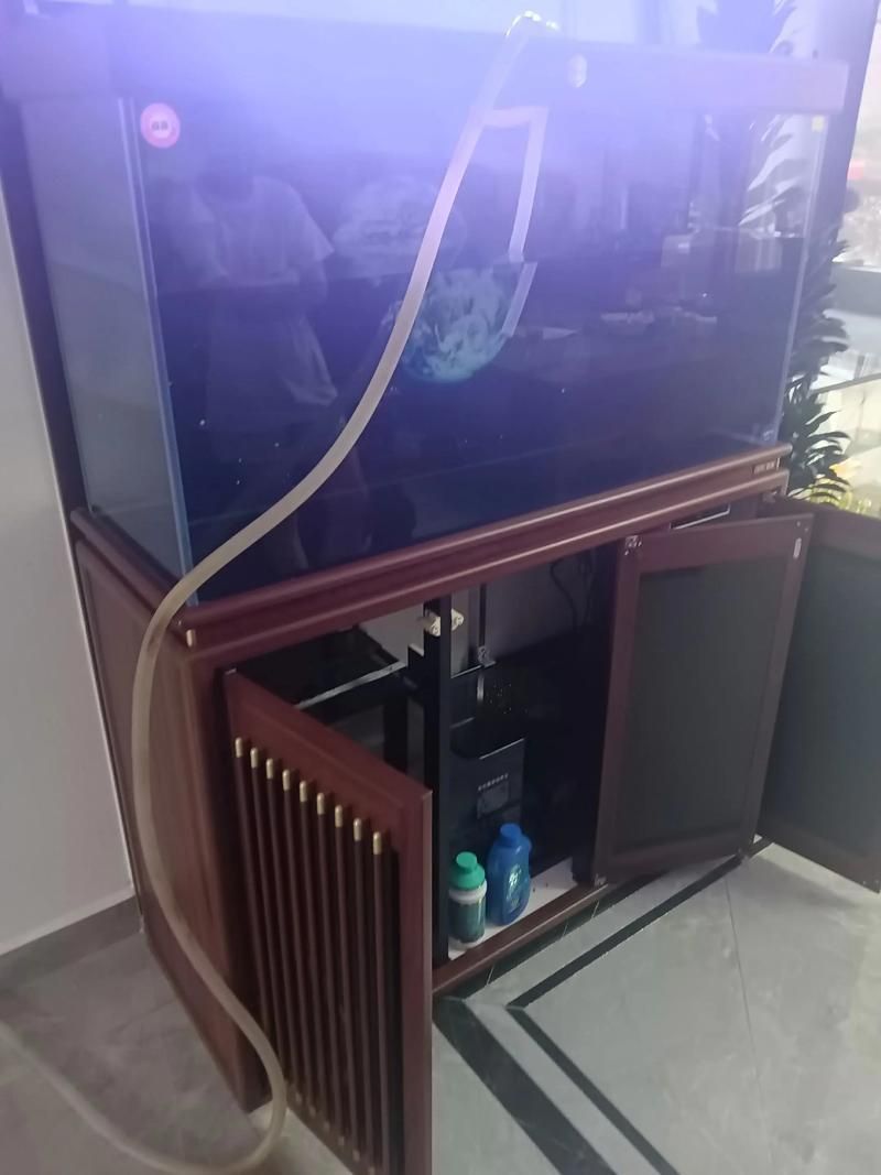 森森魚缸壞了如何維修？