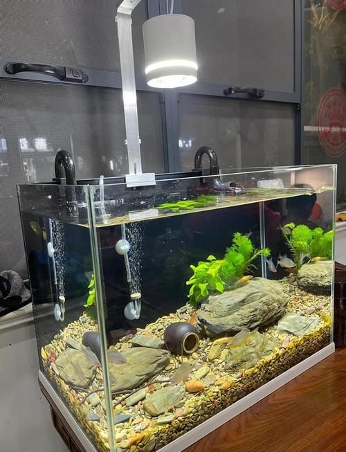 森森魚缸壞了如何維修？