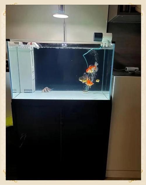 森森魚缸壞了如何維修？