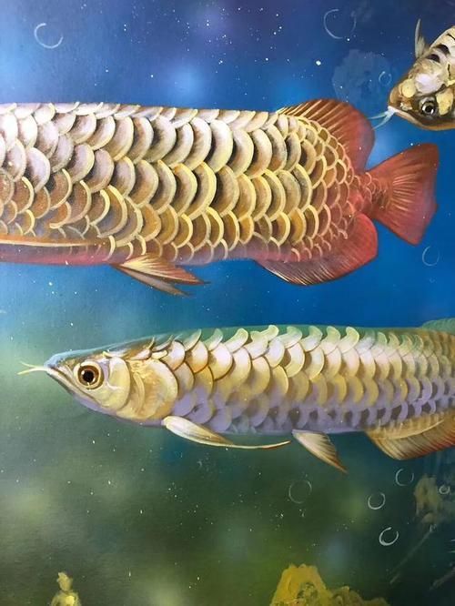 給我推薦一些高清的龍魚壁紙，高清龍魚壁紙推薦