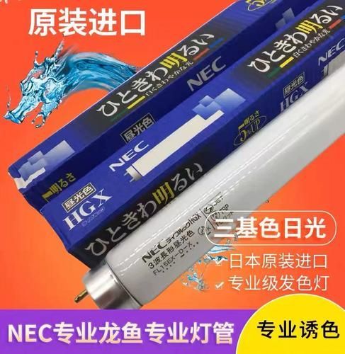 紅龍魚用什么品牌燈管，紅龍魚光照分階段攻略|養(yǎng)出好狀態(tài)