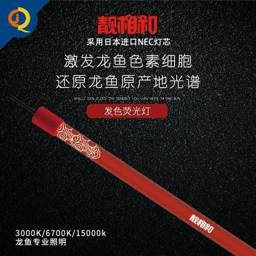 紅龍魚用什么品牌燈管，紅龍魚光照分階段攻略|養(yǎng)出好狀態(tài)