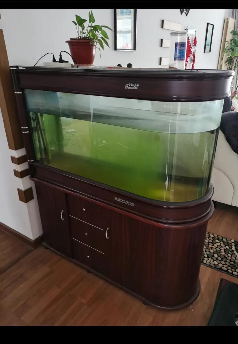 龍魚缸正確擺放圖片，龍魚缸擺放的詳細(xì)解析龍魚缸擺放的注意事項(xiàng)