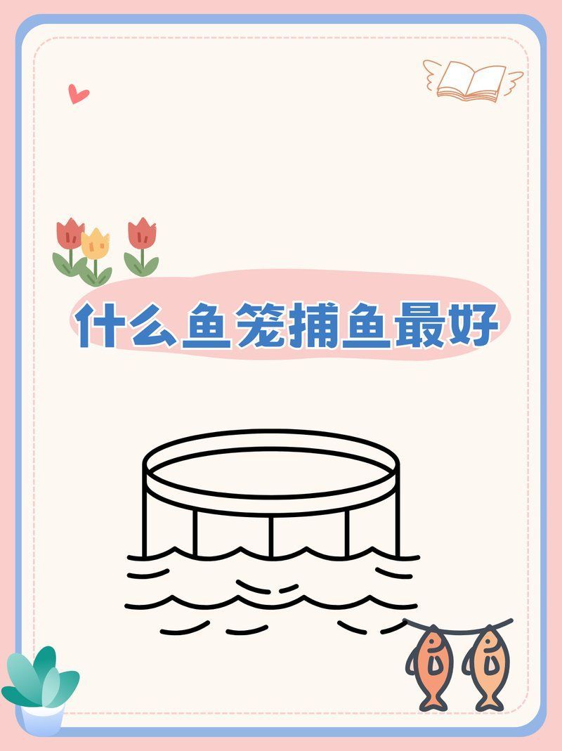 有哪些材質(zhì)可以制作魚籠，如何選擇魚籠 有哪些材質(zhì)可以制作魚籠，如何選擇魚籠 龍魚百科 第1張