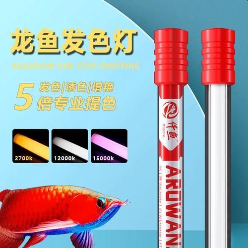 龍魚燈2700和6700哪個更耗電？
