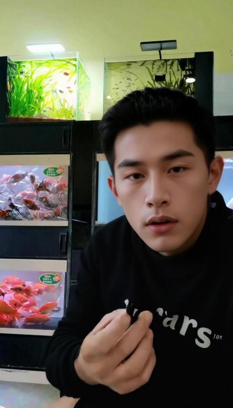 哪種方法治療龍魚爛鰭最有效，如何治療龍魚爛鰭 哪種方法治療龍魚爛鰭最有效，如何治療龍魚爛鰭 龍魚百科 第2張