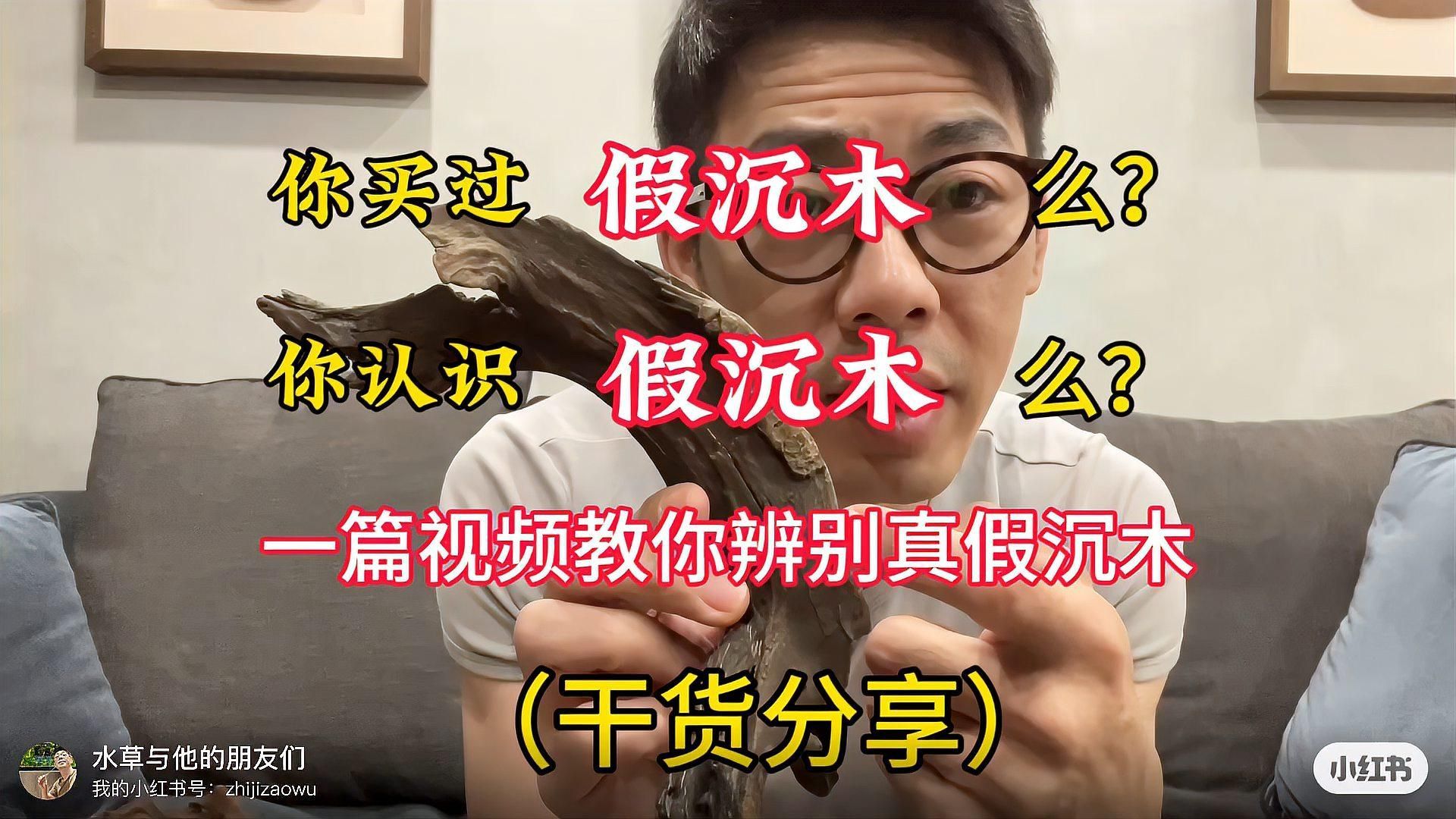 魚缸的裝飾物有哪些講究，魚缸裝飾品牌的選擇