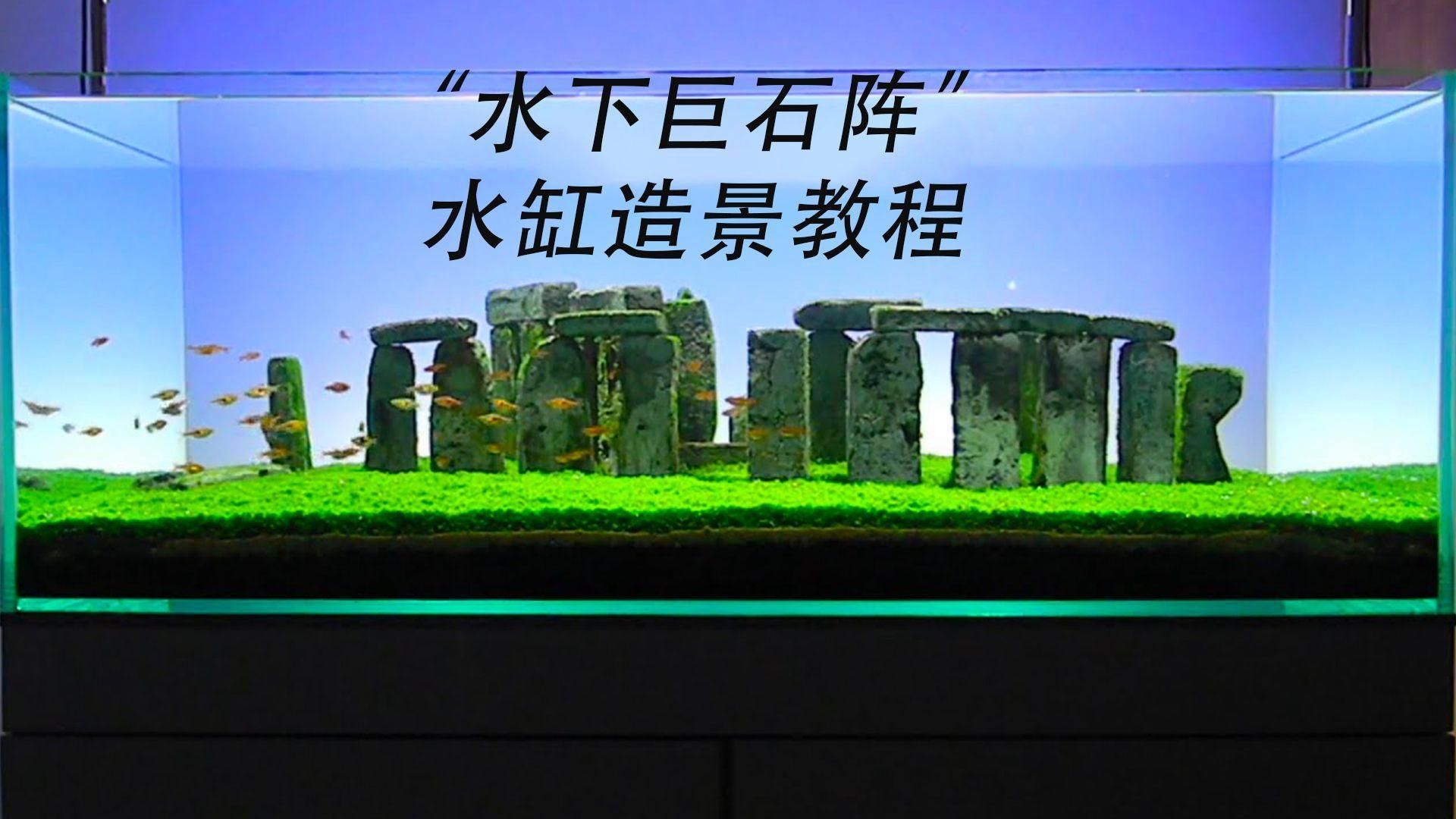 魚缸的裝飾物有哪些講究，魚缸裝飾品牌的選擇