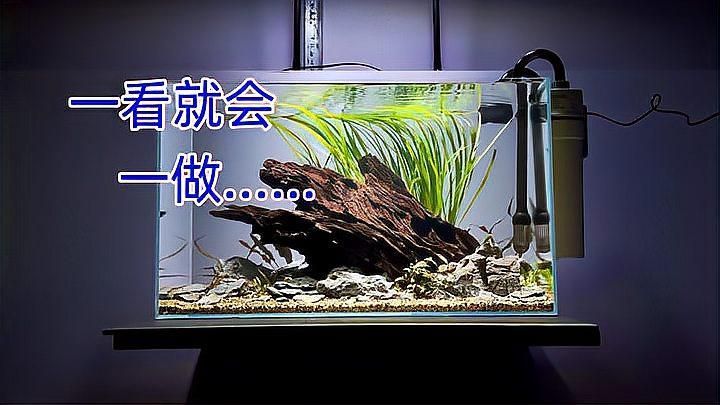 魚缸的裝飾物有哪些講究，魚缸裝飾品牌的選擇