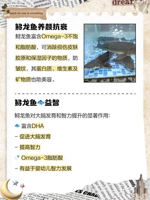 大豐收的龍魚有哪些營養(yǎng)價值,大豐收的龍魚有哪些營養(yǎng)價值大豐收的龍魚有哪些品種 龍魚百科 第1張 大豐收的龍魚有哪些營養(yǎng)價值,大豐收的龍魚有哪些營養(yǎng)價值大豐收的龍魚有哪些品種 大豐收的龍魚有哪些營養(yǎng)價值,大豐收的龍魚有哪些營養(yǎng)價值大豐收的龍魚有哪些品種 龍魚百科 第1張