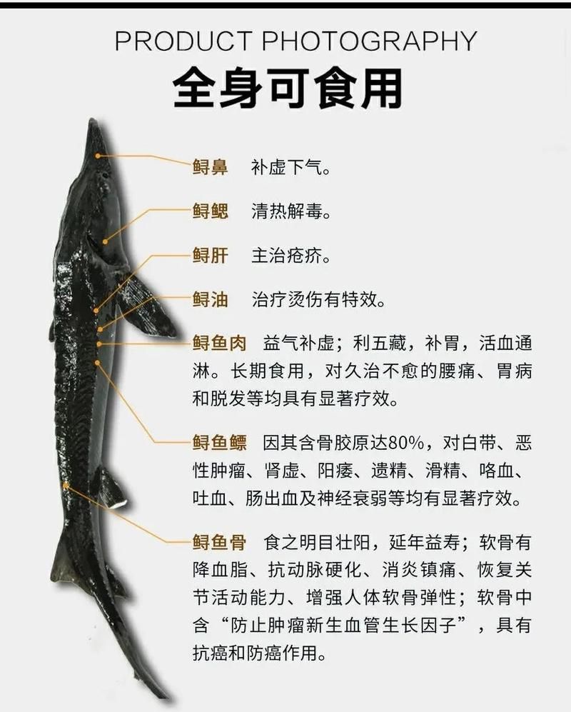 大豐收的龍魚有哪些營養(yǎng)價值,大豐收的龍魚有哪些營養(yǎng)價值大豐收的龍魚有哪些品種 龍魚百科 第2張 大豐收的龍魚有哪些營養(yǎng)價值,大豐收的龍魚有哪些營養(yǎng)價值大豐收的龍魚有哪些品種 大豐收的龍魚有哪些營養(yǎng)價值,大豐收的龍魚有哪些營養(yǎng)價值大豐收的龍魚有哪些品種 龍魚百科 第2張