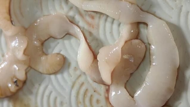 怎么判斷魚有沒有寄生蟲，arxiv論文助手判斷魚類寄生蟲是否有寄生蟲視覺識別指南 怎么判斷魚有沒有寄生蟲，arxiv論文助手判斷魚類寄生蟲是否有寄生蟲視覺識別指南 龍魚百科 第10張