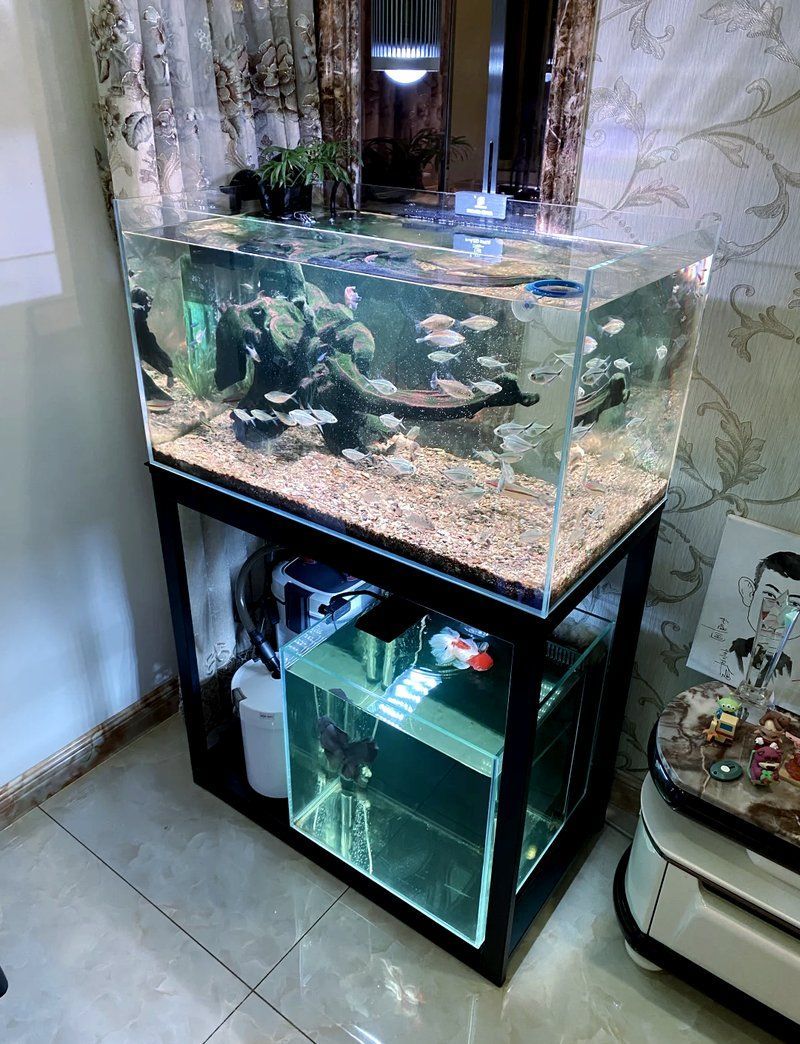 如何評價馬印燈具的質量，如何選擇馬印燈具