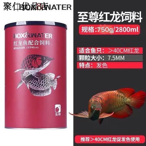 有哪些飼料適合紅龍魚，紅龍魚多久喂一次合適