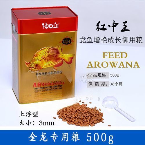 有哪些飼料適合紅龍魚，紅龍魚多久喂一次合適
