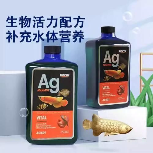 有哪些龍魚專用維生素可以嘗試？，龍魚專用維生素使用指南