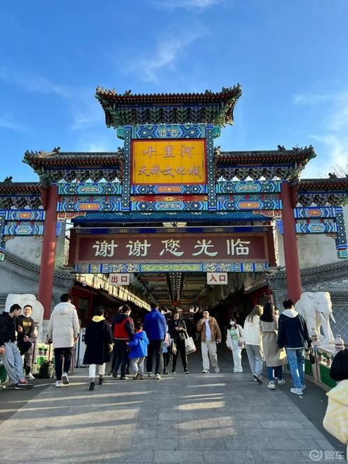 哪里可以買(mǎi)到正宗的紅龍魚(yú)魚(yú)苗？，——1000字詳解與權(quán)威購(gòu)買(mǎi)正宗紅龍魚(yú)魚(yú)苗