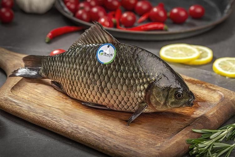 能否提供國內十大品牌魚的圖片，十大品牌魚中哪個最有名如何辨別十大品牌魚的真偽 能否提供國內十大品牌魚的圖片，十大品牌魚中哪個最有名如何辨別十大品牌魚的真偽 龍魚百科 第5張