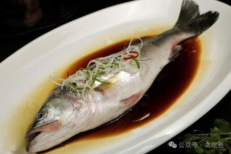 能否提供國內十大品牌魚的圖片，十大品牌魚中哪個最有名如何辨別十大品牌魚的真偽 能否提供國內十大品牌魚的圖片，十大品牌魚中哪個最有名如何辨別十大品牌魚的真偽 龍魚百科 第12張
