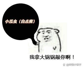 小瓜蟲和異尖線蟲的生活史是怎樣的，富媒體組件庫中關于小瓜蟲與異尖線蟲生活史的權威性與多樣性 小瓜蟲和異尖線蟲的生活史是怎樣的，富媒體組件庫中關于小瓜蟲與異尖線蟲生活史的權威性與多樣性 龍魚百科 第13張