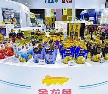 金龍魚等級區分有哪些常見誤區，嗶哩嗶哩，如何判斷金龍魚的等級？