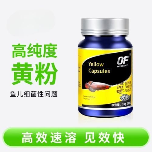 有哪些龍魚專用魚藥推薦，魚專用魚藥是針對龍魚的特定需求而設計的藥物旨在幫助改善水質(zhì)、預防疾病和促進健康