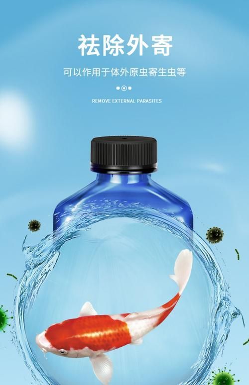 有哪些龍魚專用魚藥推薦，魚專用魚藥是針對龍魚的特定需求而設計的藥物旨在幫助改善水質(zhì)、預防疾病和促進健康