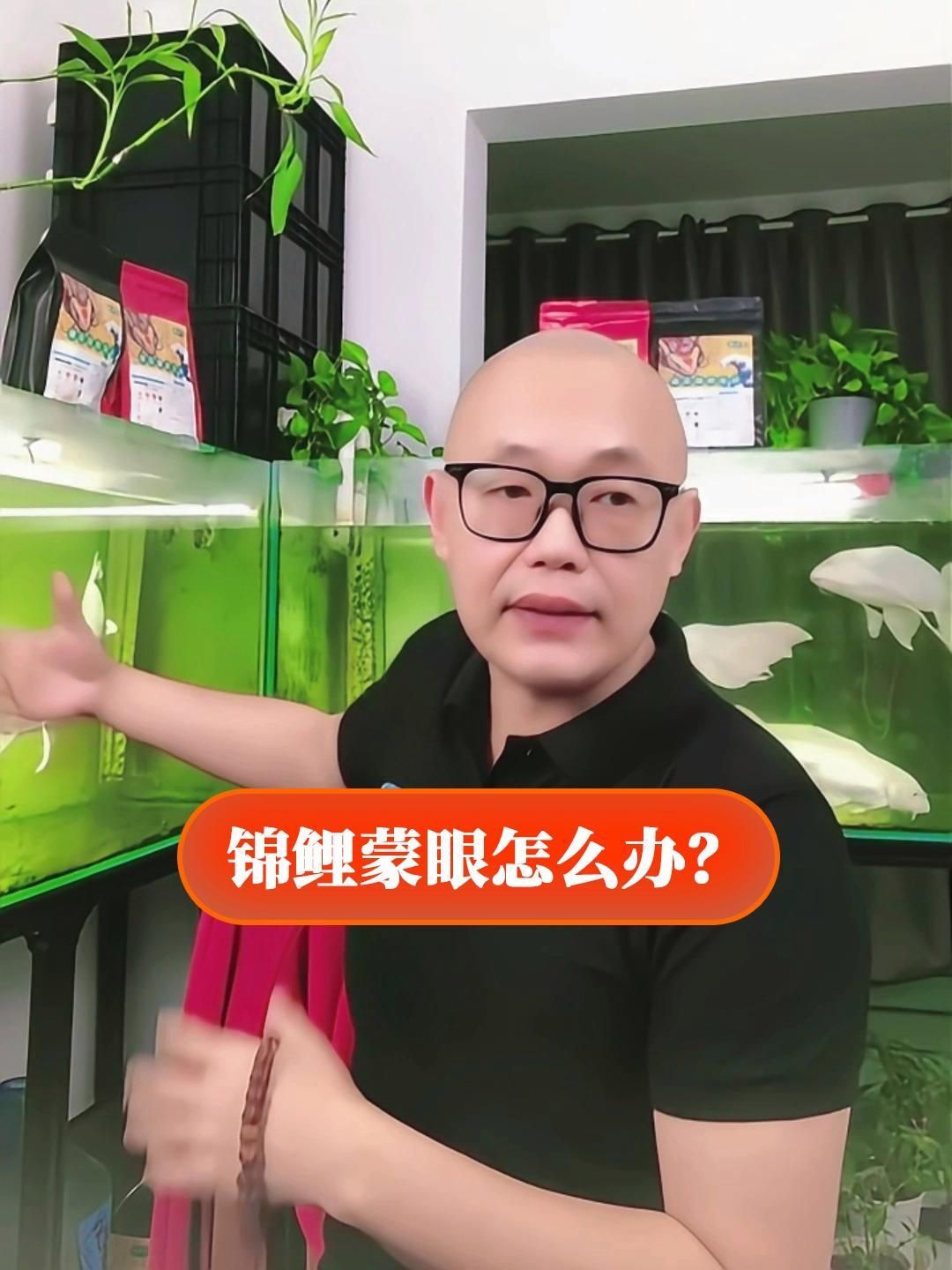 給我一些錦鯉蒙眼病的治療藥物，治療錦鯉蒙眼病的藥物應根據病因選擇合適的藥物