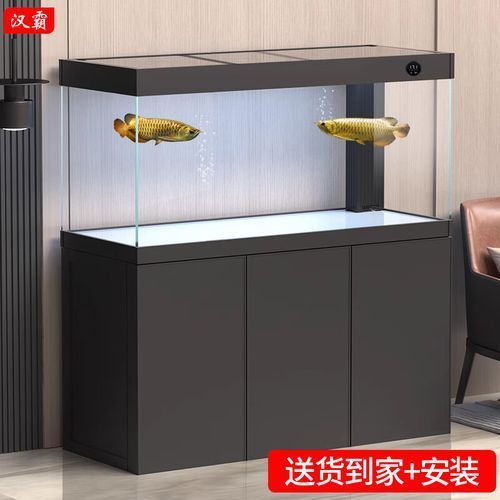 給我推薦幾款80cm寬的龍魚缸，80cm寬的龍魚缸有哪些推薦？