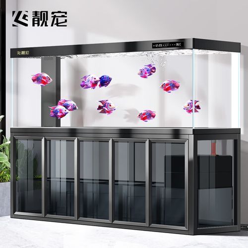給我推薦幾款80cm寬的龍魚缸，80cm寬的龍魚缸有哪些推薦？