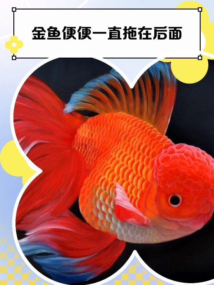 魚腸炎好轉后需要多久恢復健康，魚腸炎好轉后通常需要7到15天才能完全恢復健康