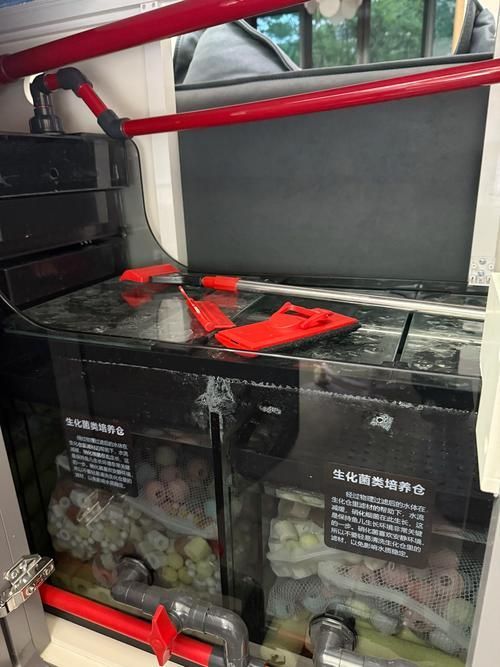 有哪些品牌的魚缸濾材推薦？，為魚缸選擇合適的濾材時(shí)有幾個(gè)品牌因其卓越的性能和可靠性受到推崇 有哪些品牌的魚缸濾材推薦？，為魚缸選擇合適的濾材時(shí)有幾個(gè)品牌因其卓越的性能和可靠性受到推崇 龍魚百科 第10張