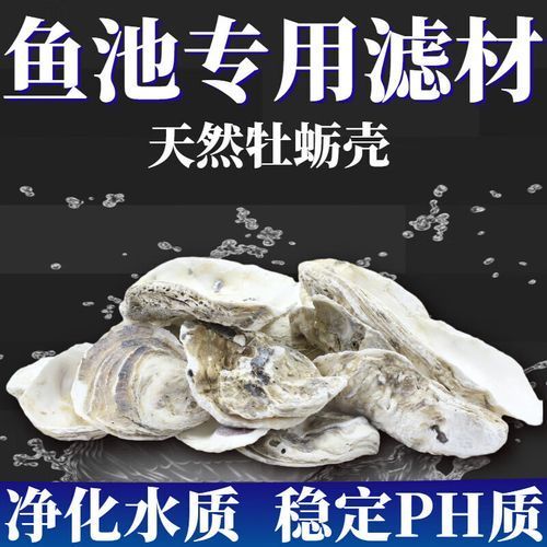 有哪些品牌的魚缸濾材推薦？，為魚缸選擇合適的濾材時(shí)有幾個(gè)品牌因其卓越的性能和可靠性受到推崇 有哪些品牌的魚缸濾材推薦？，為魚缸選擇合適的濾材時(shí)有幾個(gè)品牌因其卓越的性能和可靠性受到推崇 龍魚百科 第6張