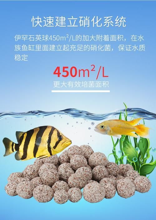 有哪些品牌的魚缸濾材推薦？，為魚缸選擇合適的濾材時(shí)有幾個(gè)品牌因其卓越的性能和可靠性受到推崇 有哪些品牌的魚缸濾材推薦？，為魚缸選擇合適的濾材時(shí)有幾個(gè)品牌因其卓越的性能和可靠性受到推崇 龍魚百科 第20張