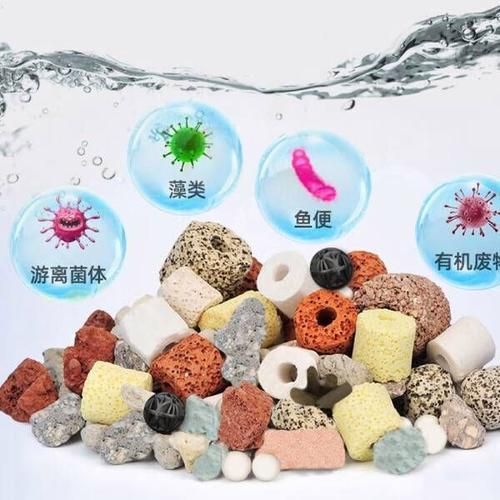 有哪些品牌的魚缸濾材推薦？，為魚缸選擇合適的濾材時(shí)有幾個(gè)品牌因其卓越的性能和可靠性受到推崇 有哪些品牌的魚缸濾材推薦？，為魚缸選擇合適的濾材時(shí)有幾個(gè)品牌因其卓越的性能和可靠性受到推崇 龍魚百科 第18張