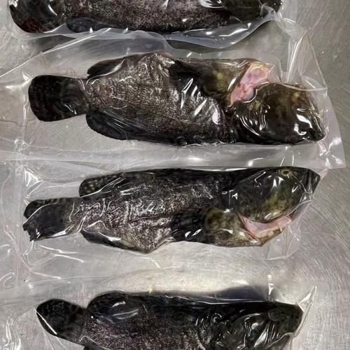 東山龍魚有哪些營養價值？，東山龍魚的營養價值