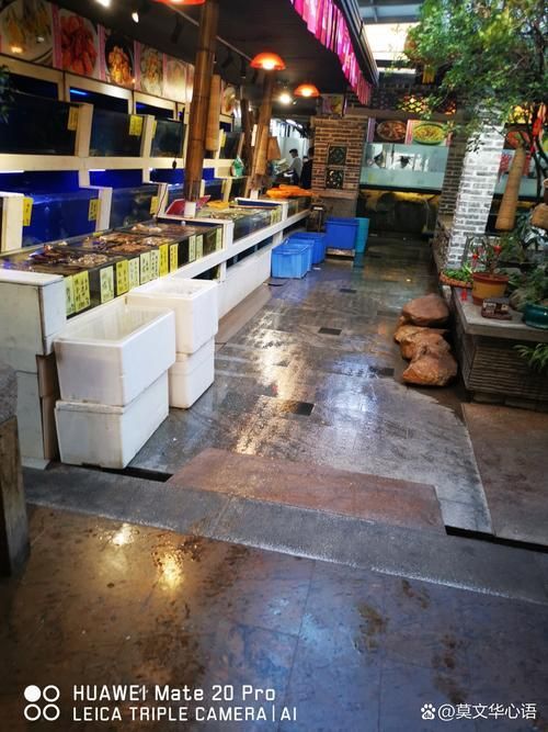 祥龍魚場各市店評價如何？，馬來西亞祥龍魚場各城市門店評價祥龍魚場各市店的評價