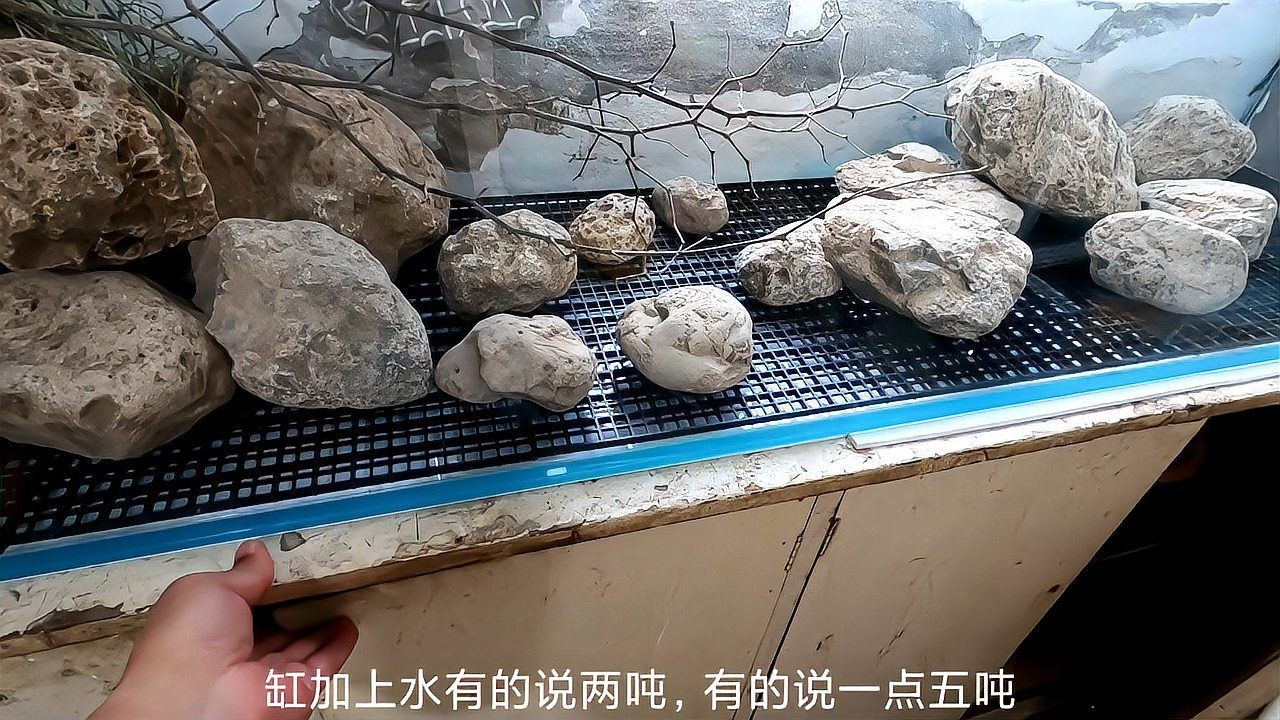 如何計(jì)算魚缸的重量，魚缸有多少升水你知道怎么計(jì)算嗎