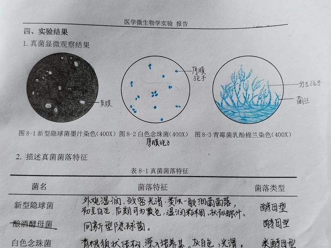 如何判斷龍魚白膜病類型，如何判斷龍魚白膜病