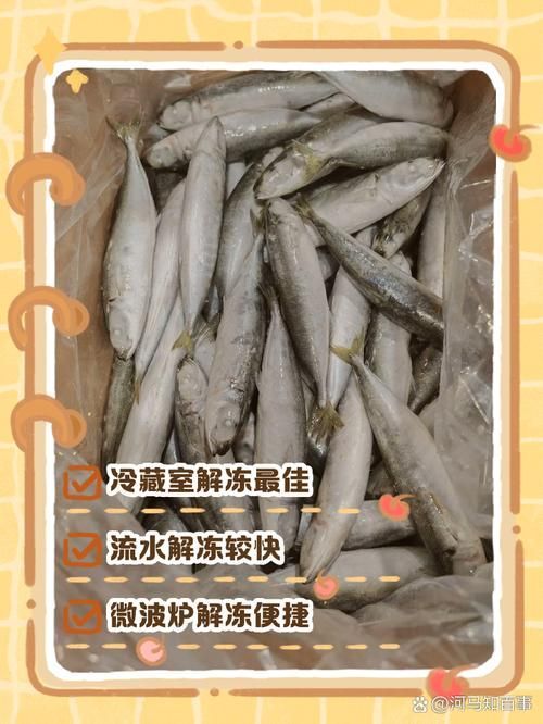如何安全地食用海南龍魚刺？，關于海龍魚的問題