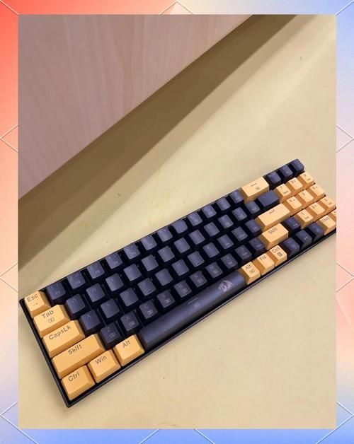 紅龍有些什么牌子