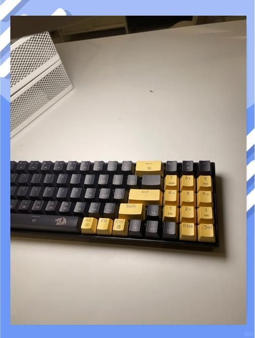 紅龍有些什么牌子