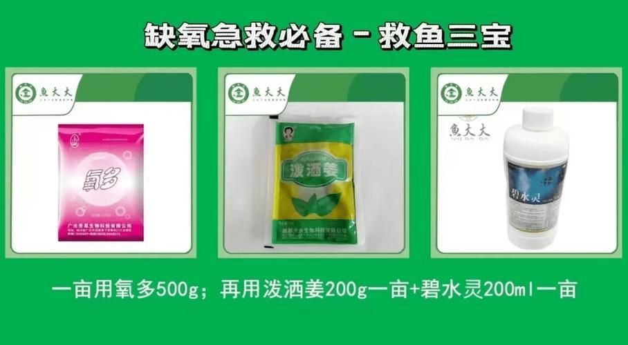 魚類浮頭后如何急救，arxiv論文助手詳解魚類浮頭后的急救方案（arxiv論文助手）
